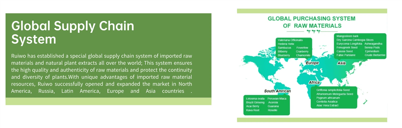 why choose us 2new why choose us 2new