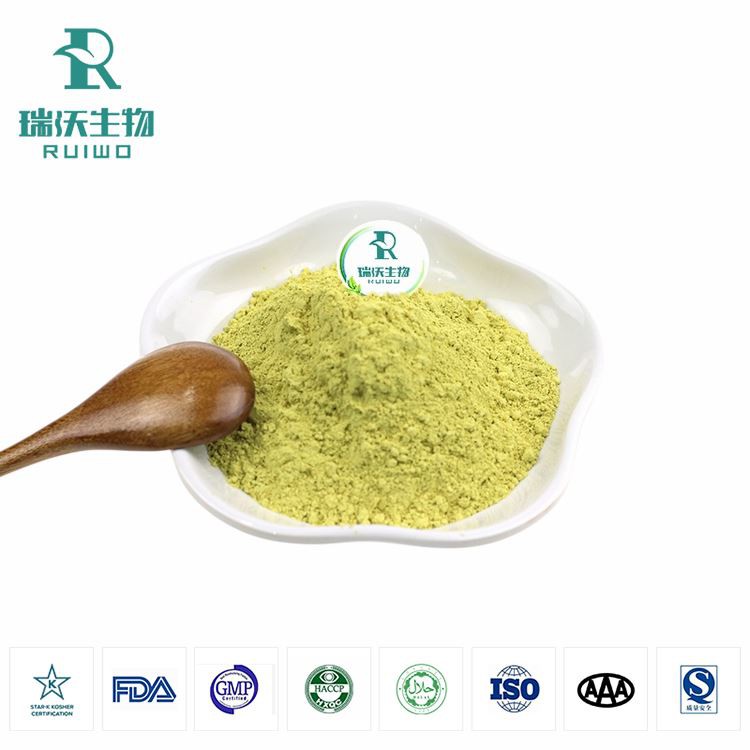 Rutin NF11 Powder